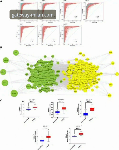 AC米兰比赛结果教程 从数据到洞察:AC米兰比赛结果教程的深度分析与平台化趋势